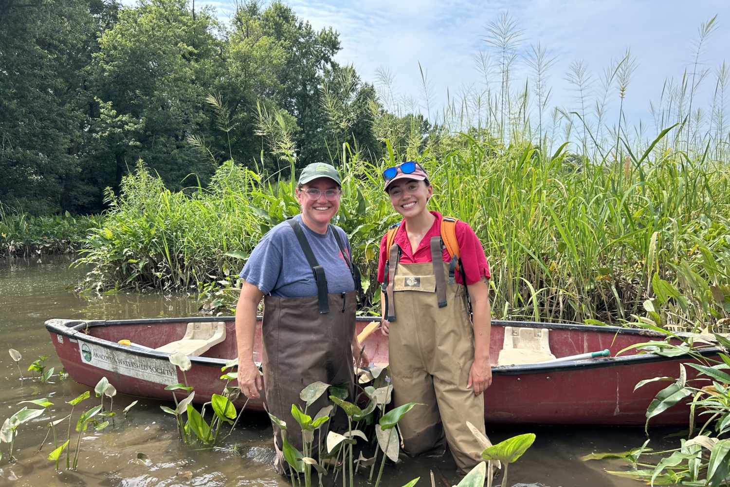 How a DC Area Wetlands Restoration Project Could Help Clean Up the Anacostia River